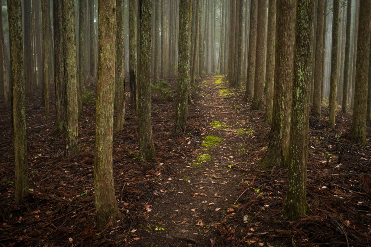 misty mountains and abandoned homes of Tokyo’s far west