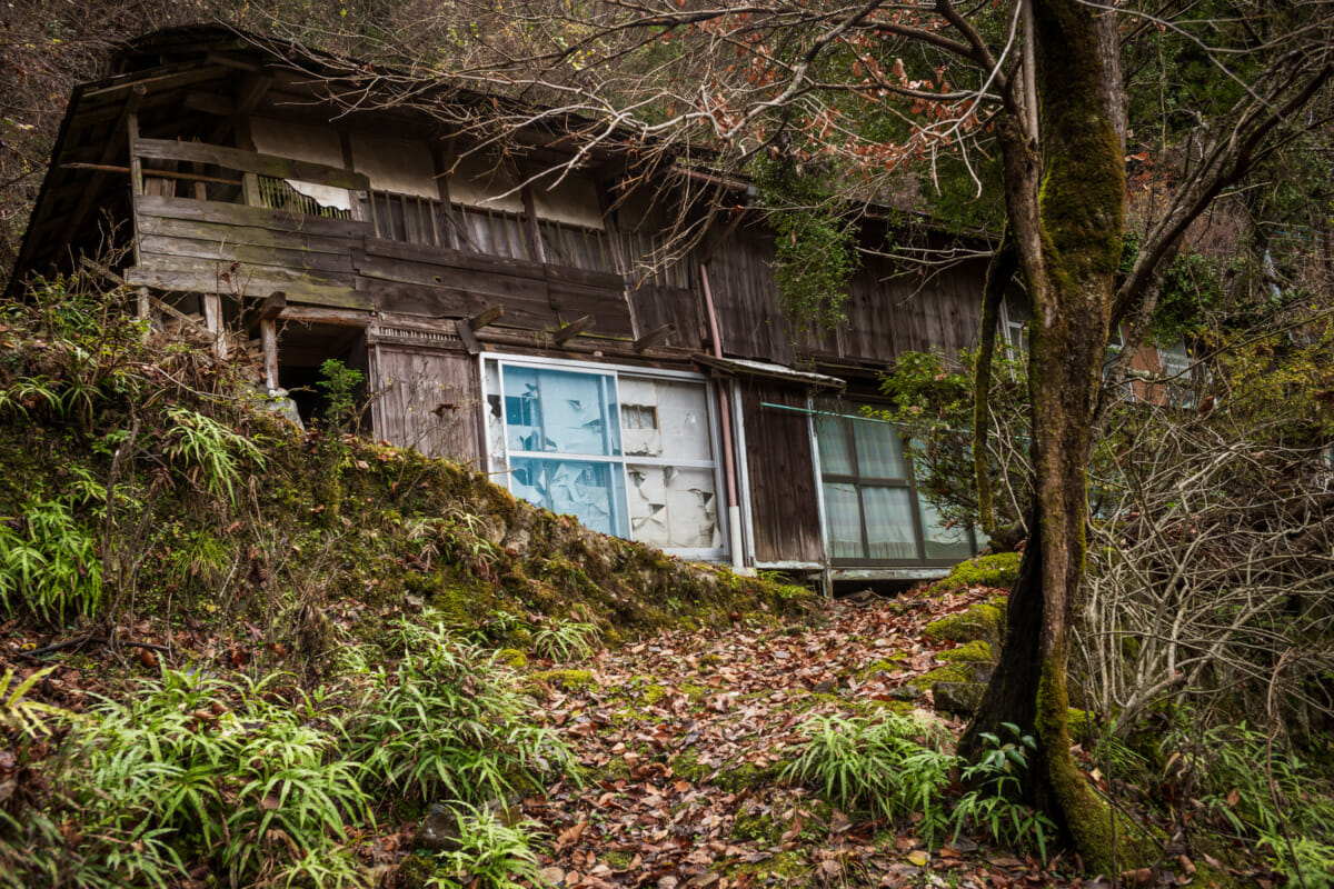 misty mountains and abandoned homes of Tokyo’s far west