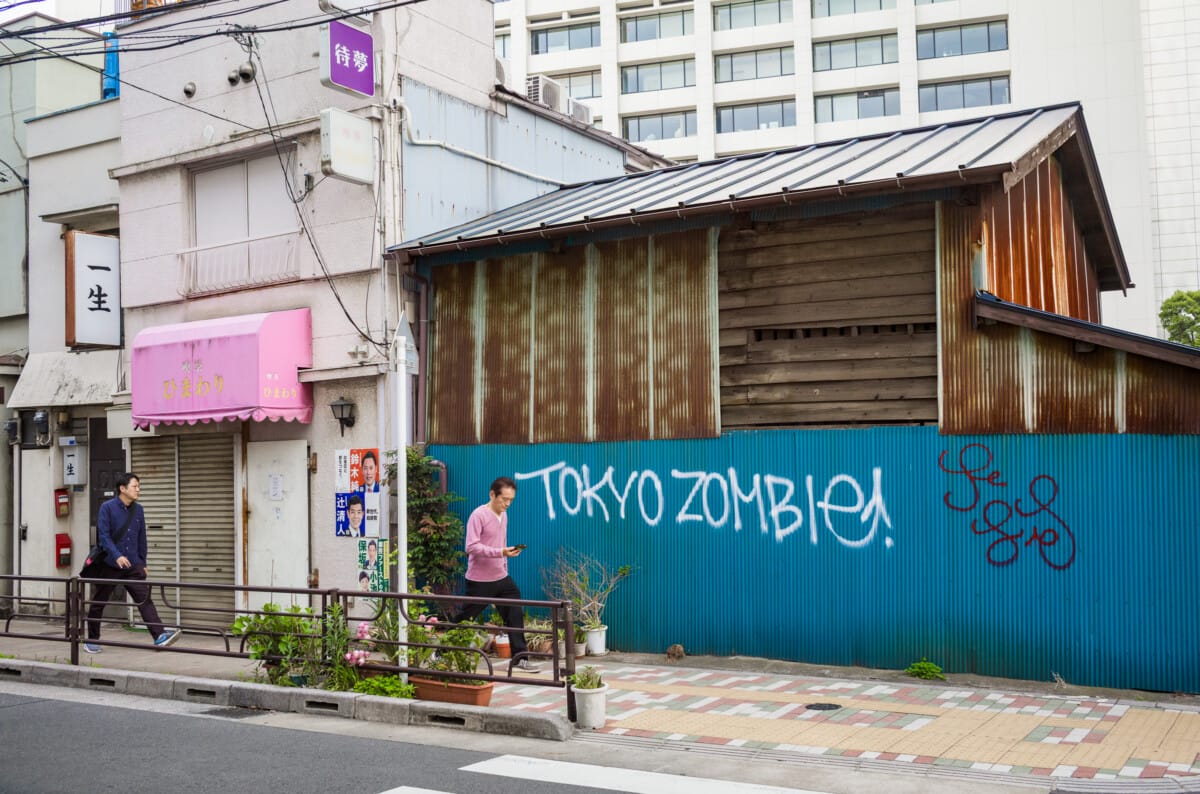 The wonderful variety of Tokyo wanders
