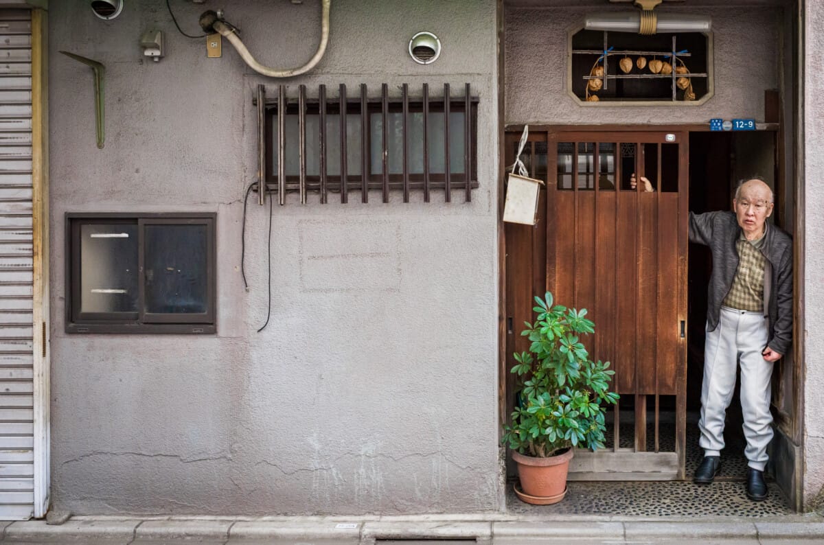 The wonderful variety of Tokyo wanders