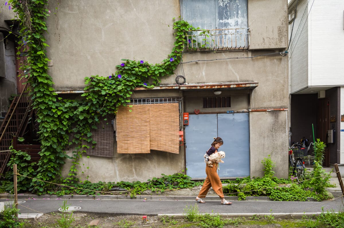 More Tokyo citizens and their everyday surroundings