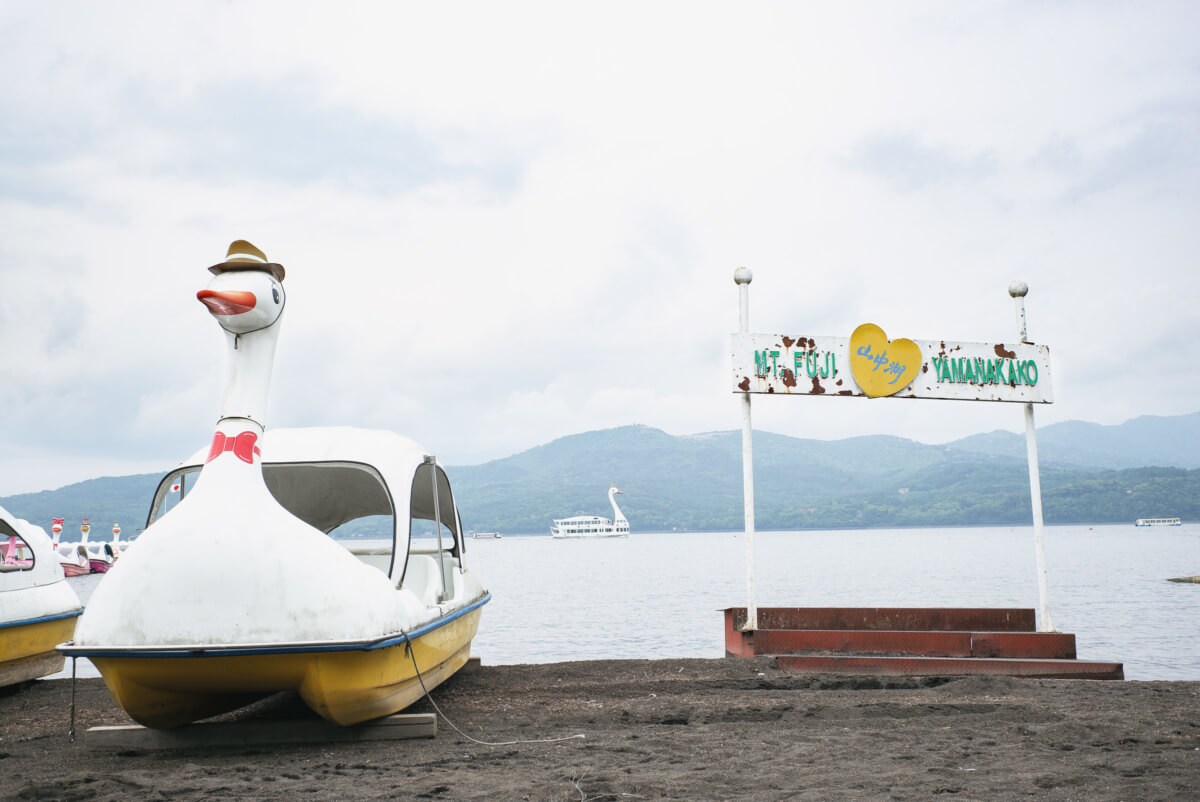 the surreal swan boats of mount fuji