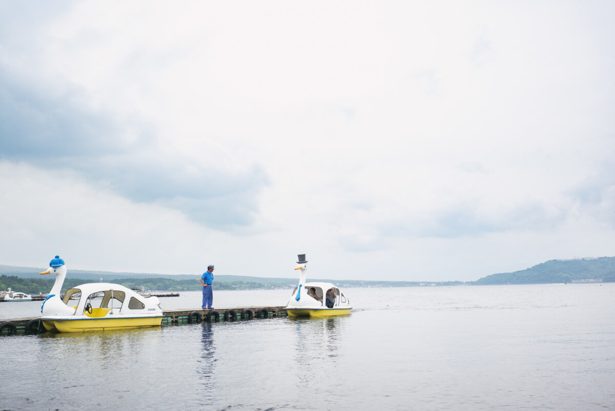 the surreal swan boats of mount fuji