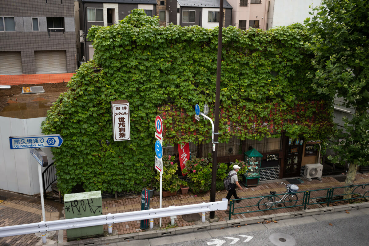 narrow and overgrown old Tokyo restaurant