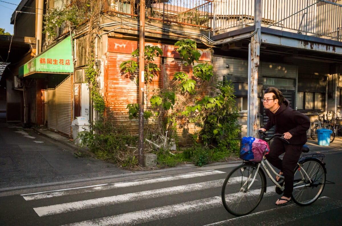 A saunter round the north side of Tokyo
