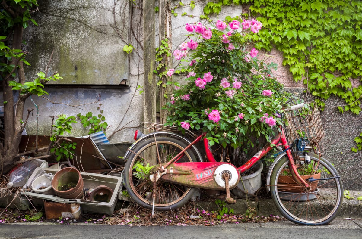 A saunter round the north side of Tokyo