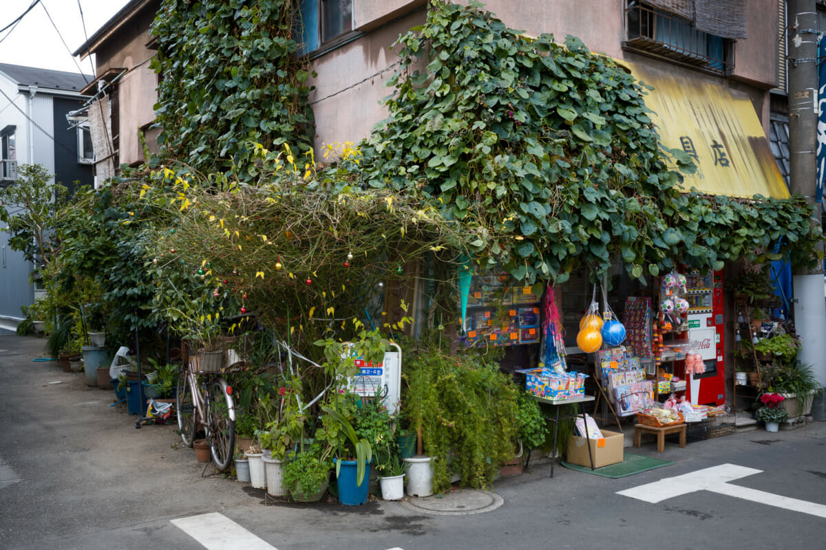 an old and faded tokyo toy shop