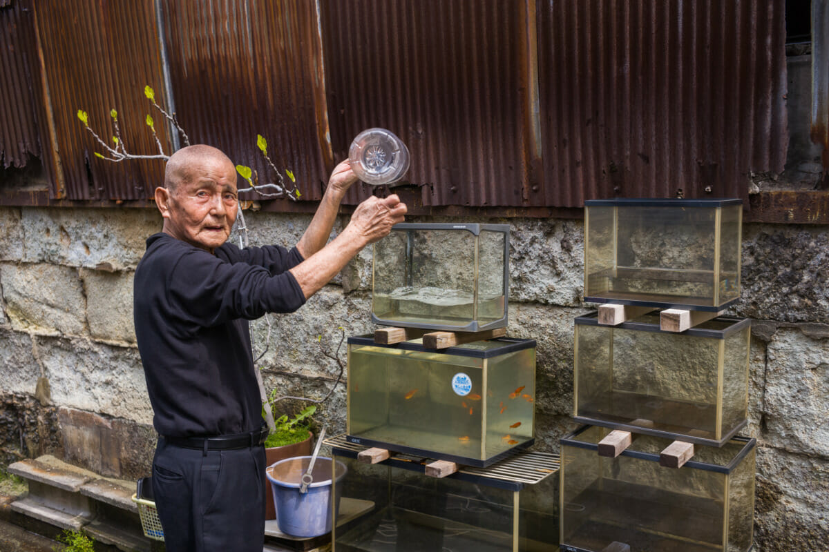 A tiny Tokyo home that’s truly like no other