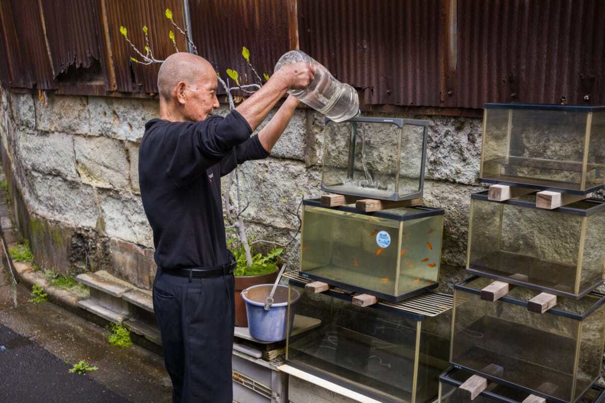 A tiny Tokyo home that’s truly like no other