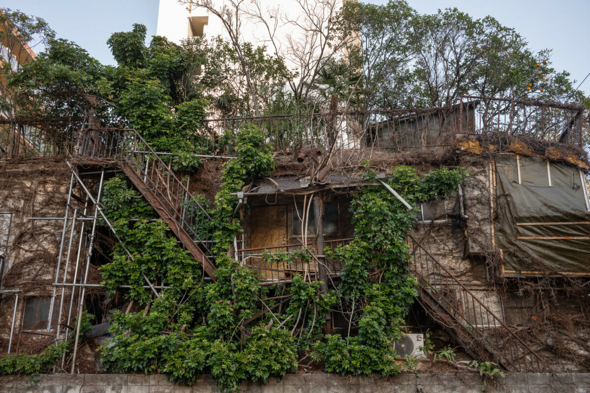 a crumbling and incredibly patched up old Tokyo hotel