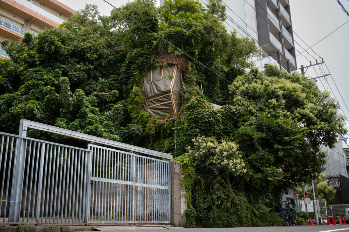 a crumbling and incredibly patched up old Tokyo hotel