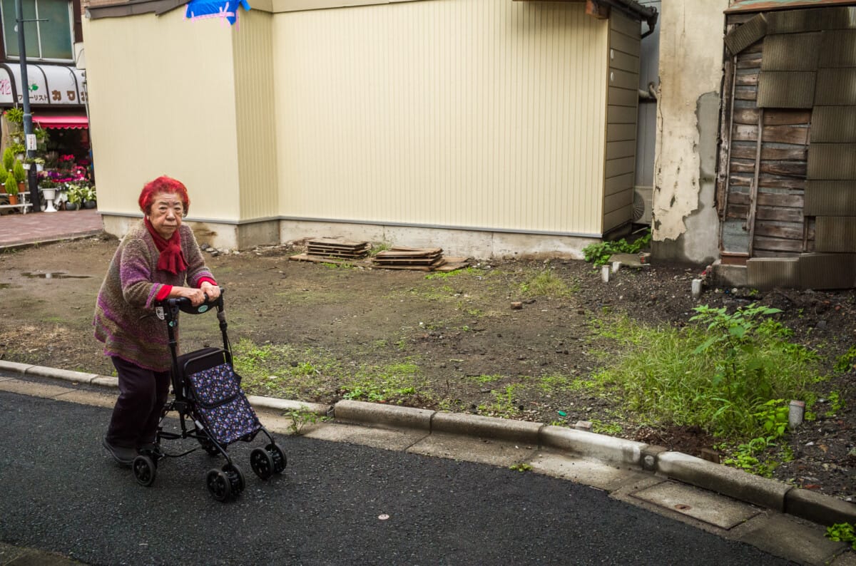 More photos from a favourite old Tokyo neighbourhood