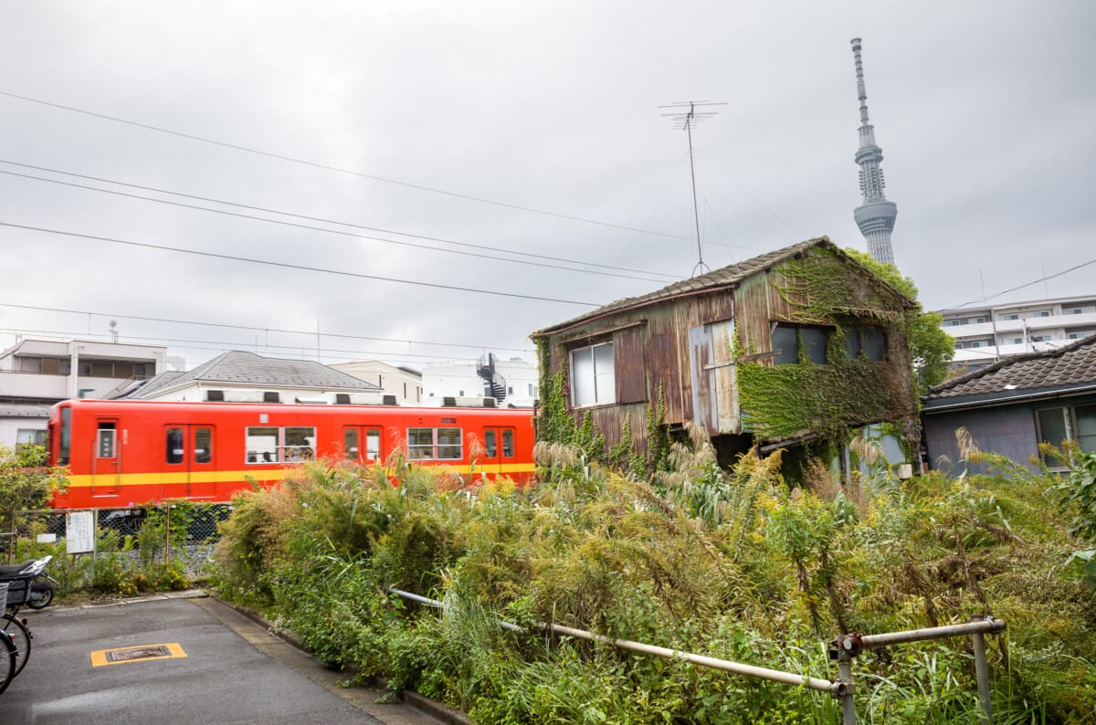 More photos from a favourite old Tokyo neighbourhood