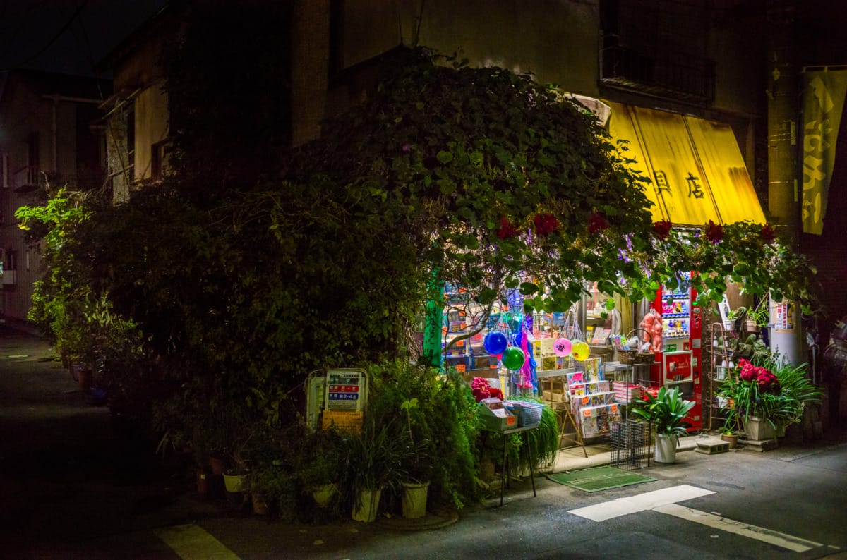 The quiet and light of an old Tokyo neighbourhood at night