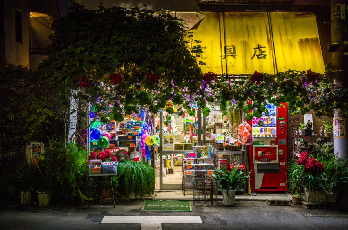 The quiet and light of an old Tokyo neighbourhood at night