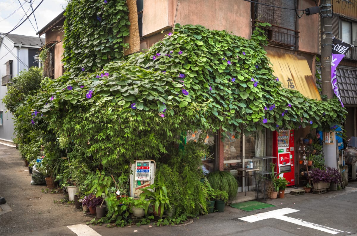 old Tokyo shops