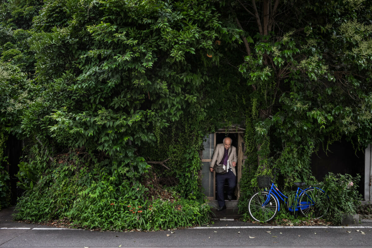 An overgrown and crumbling old Tokyo hotel