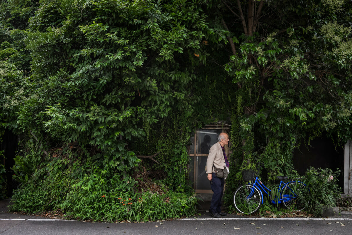 An overgrown and crumbling old Tokyo hotel