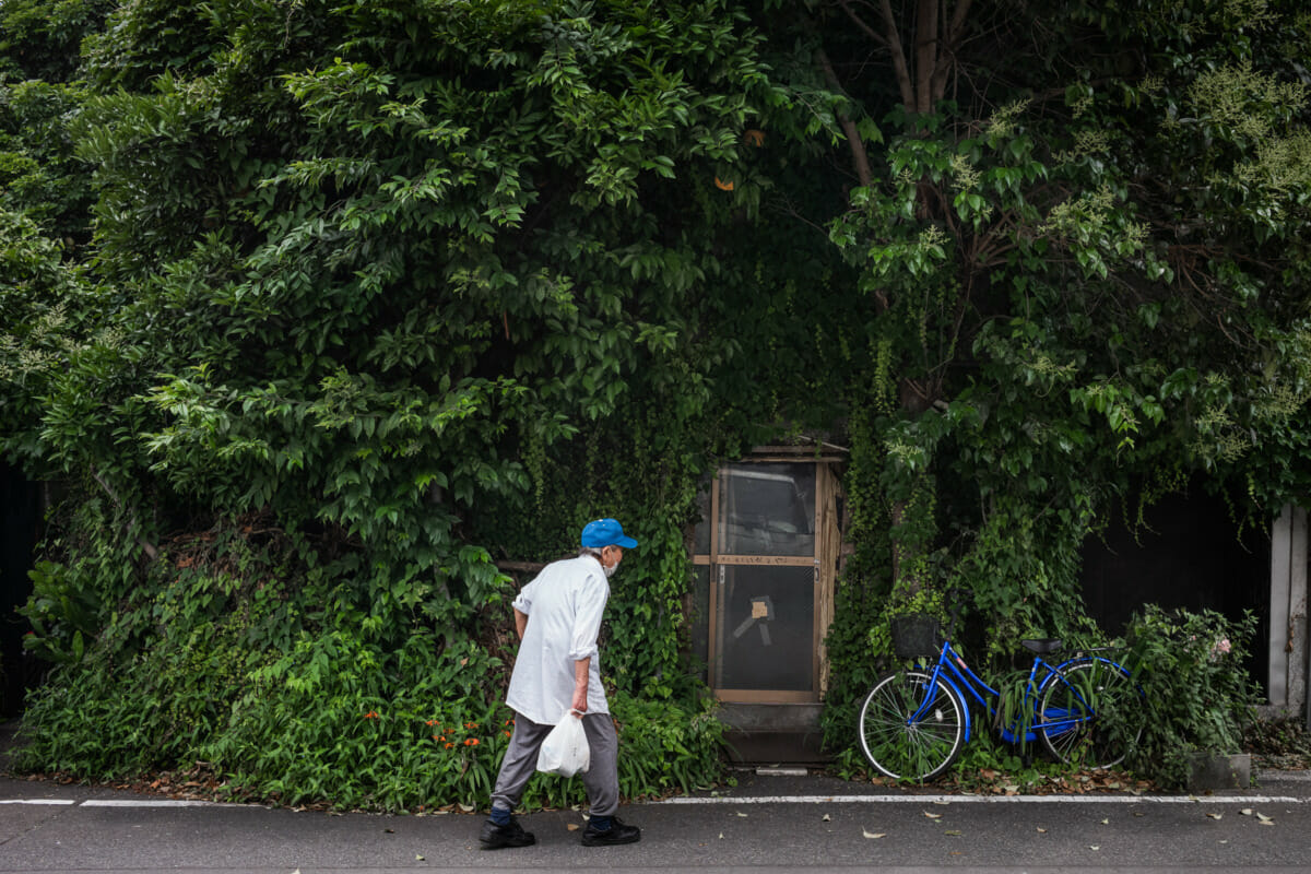 An overgrown and crumbling old Tokyo hotel