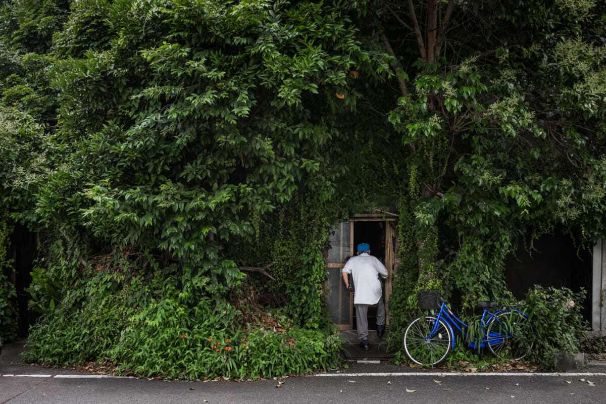 An overgrown and crumbling old Tokyo hotel