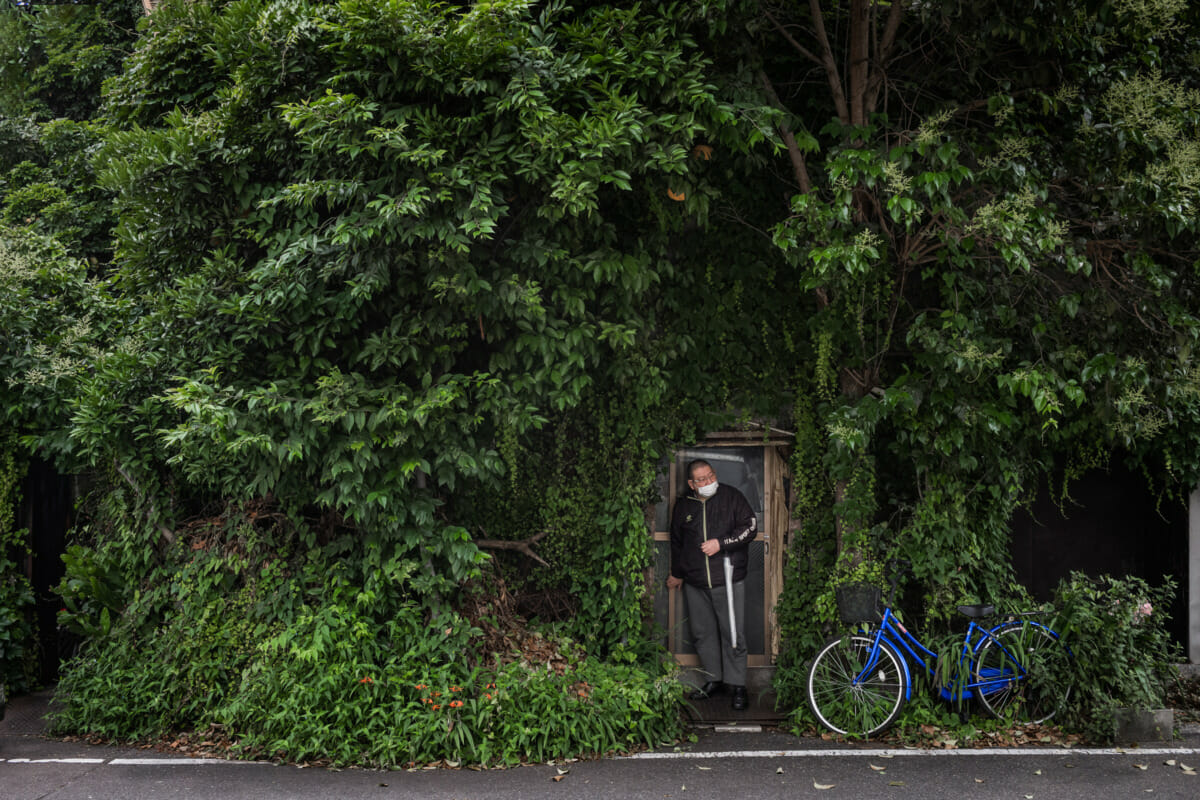 An overgrown and crumbling old Tokyo hotel