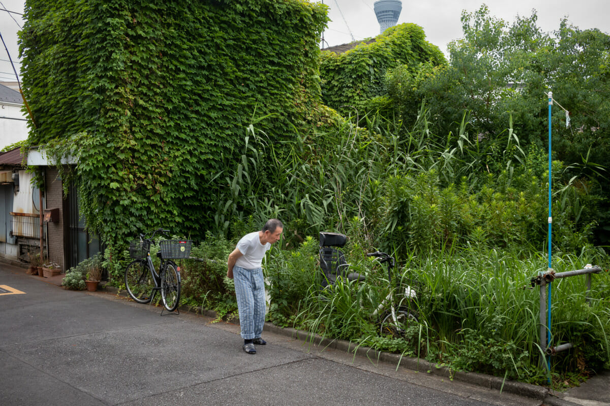 abandoned and overgrown old Tokyo