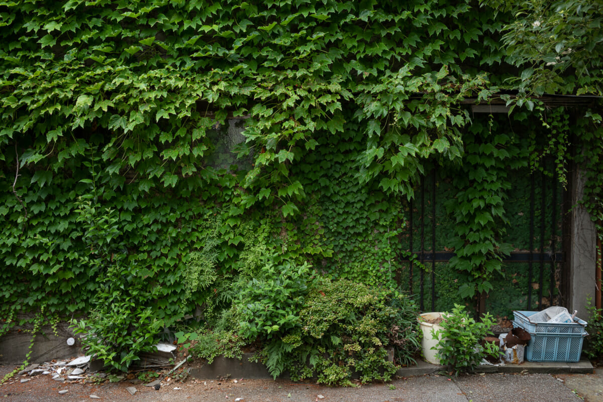 abandoned and overgrown old Tokyo