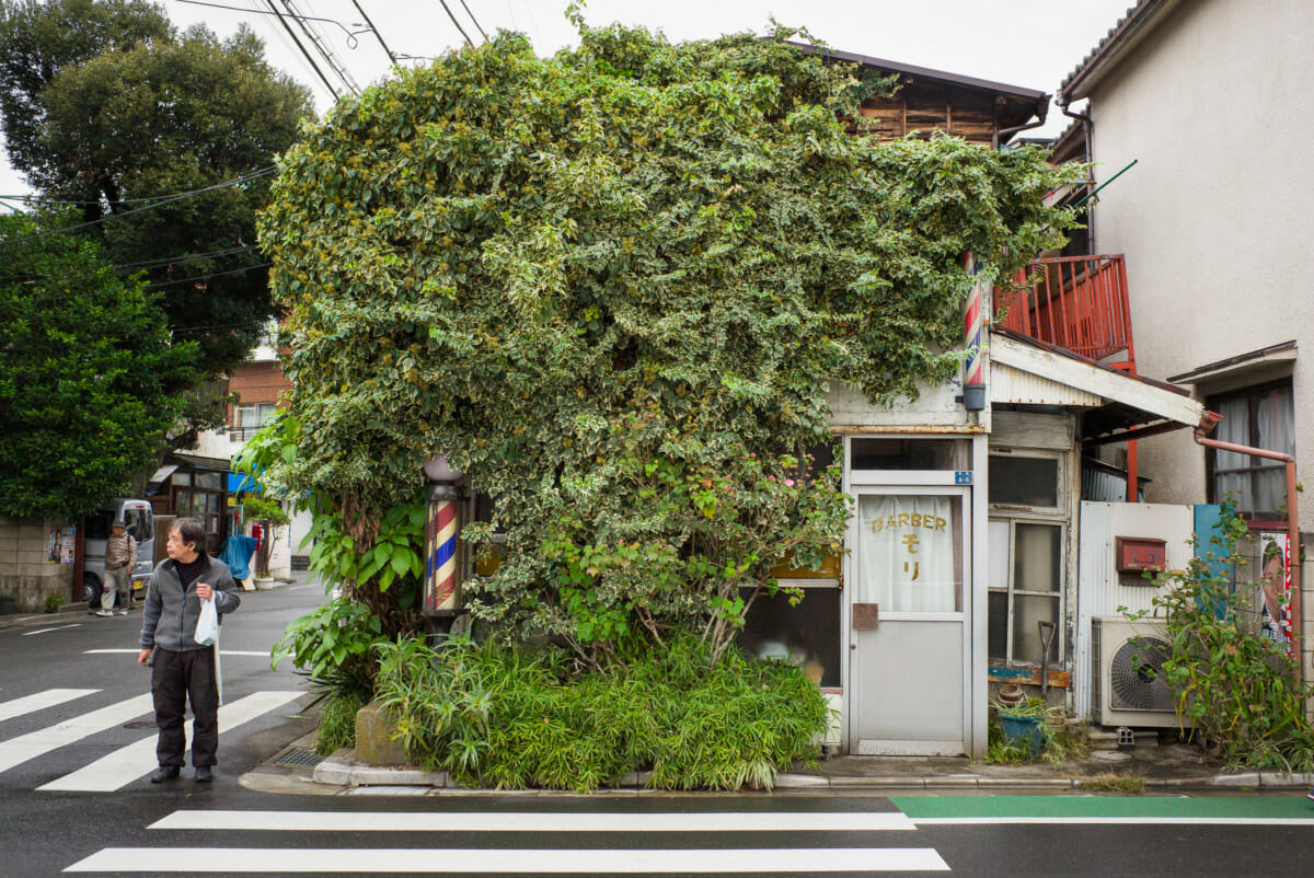 an overgrown Tokyo barber shop