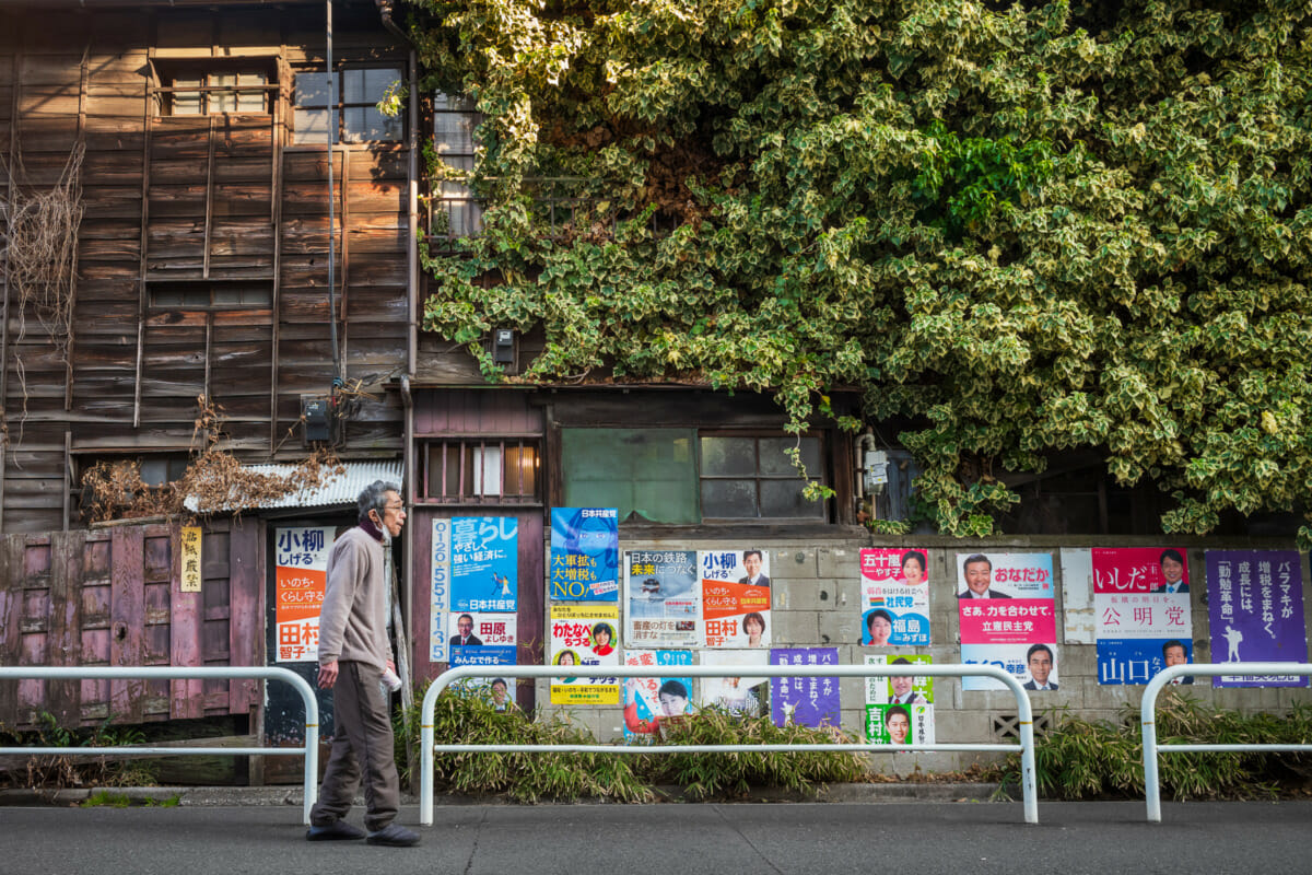 an overgrown Tokyo barber shop