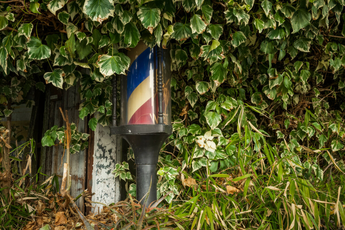 an overgrown Tokyo barber shop