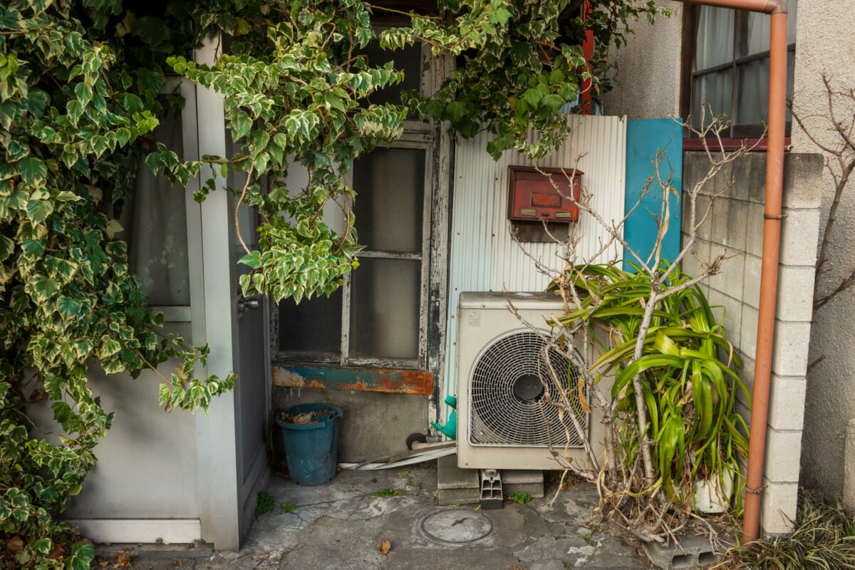 an overgrown Tokyo barber shop