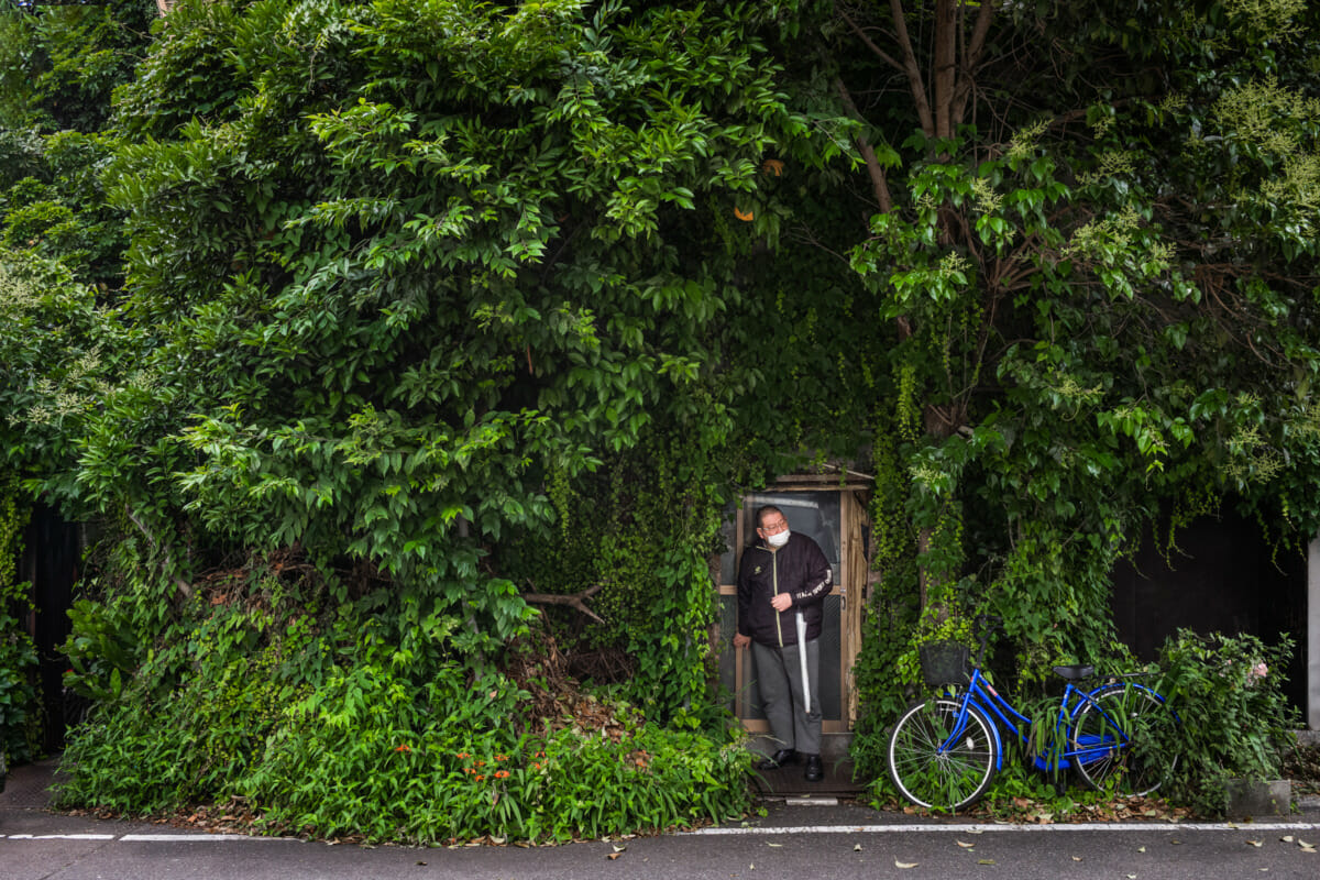 Beautifully overgrown Tokyo businesses