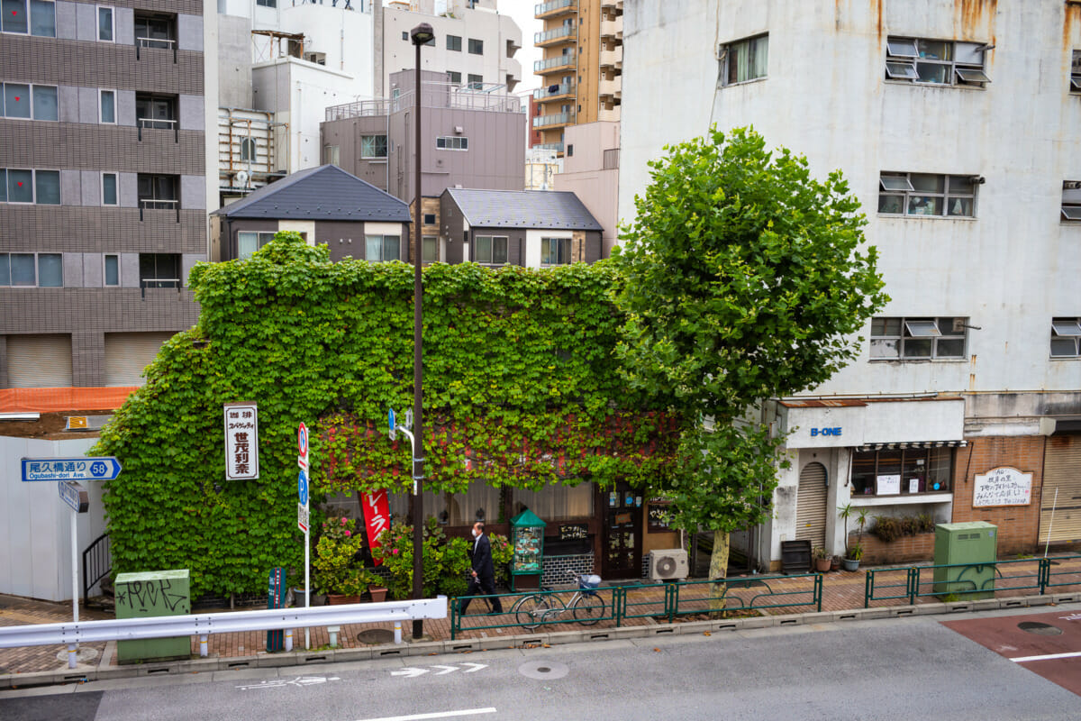 Beautifully overgrown Tokyo businesses