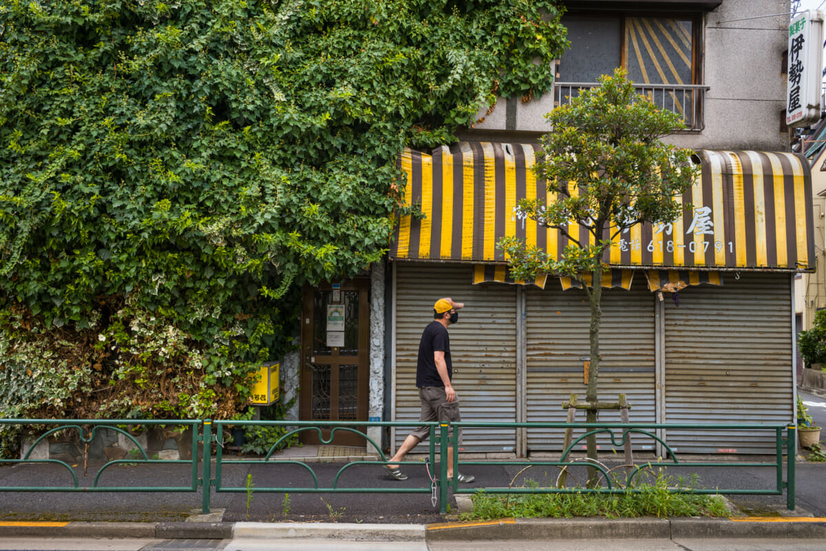 Beautifully overgrown Tokyo businesses