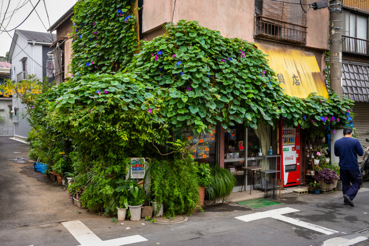 Beautifully overgrown Tokyo businesses