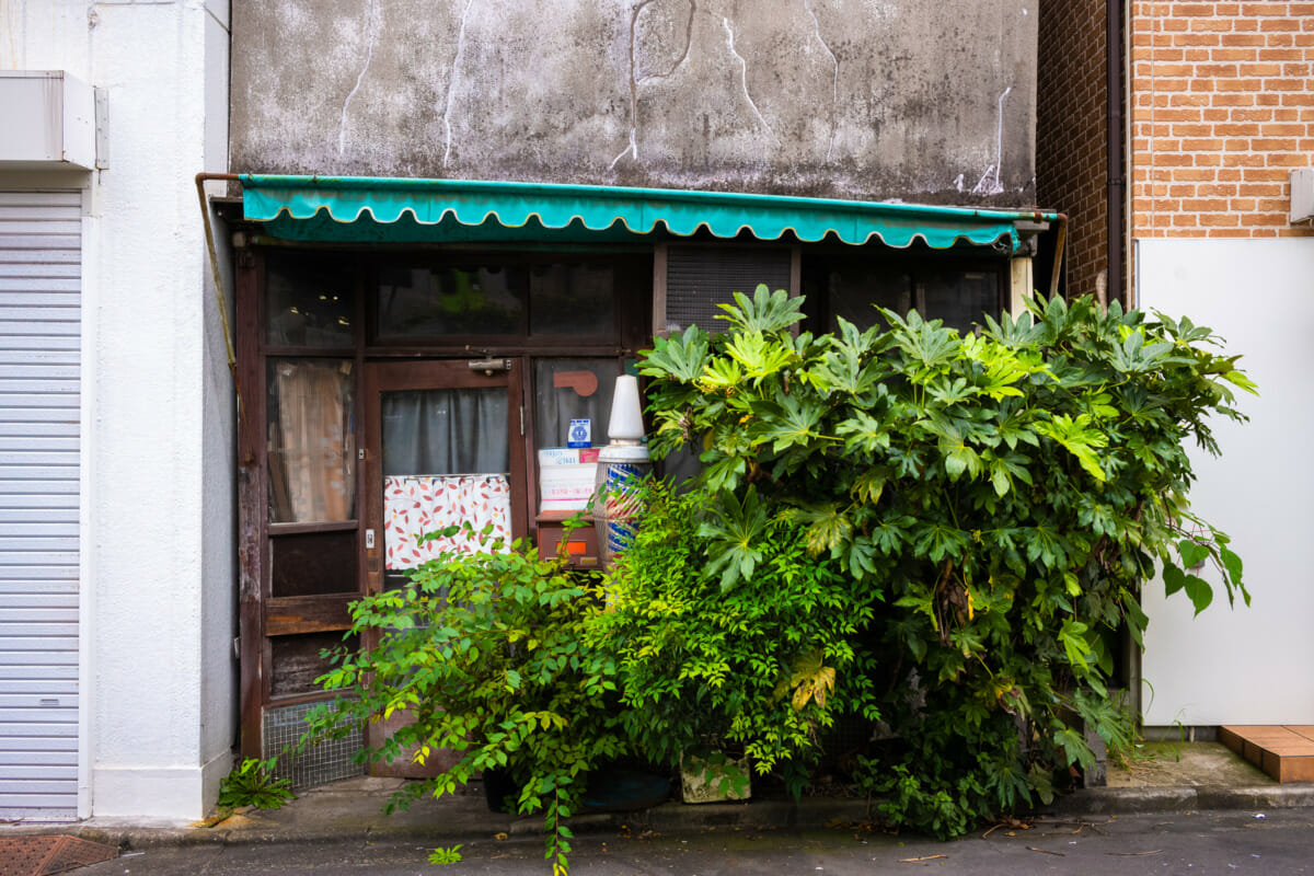 Beautifully overgrown Tokyo businesses