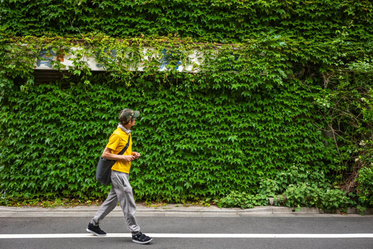 Beautifully overgrown Tokyo businesses