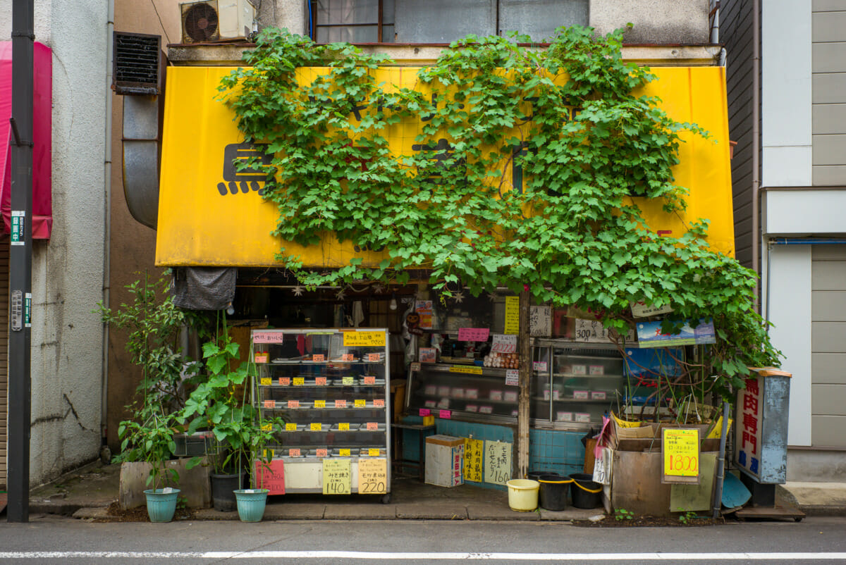 Beautifully overgrown Tokyo businesses