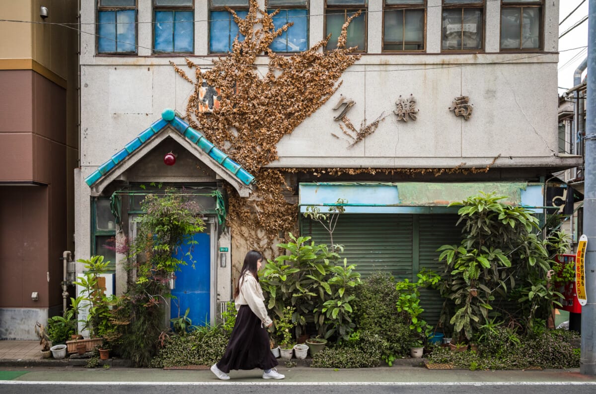 Green and overgrown urban Tokyo