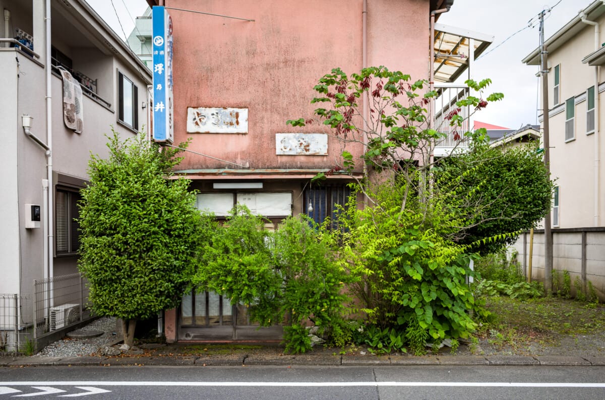 Green and overgrown urban Tokyo