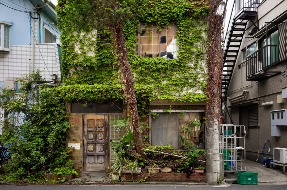 Green and overgrown urban Tokyo