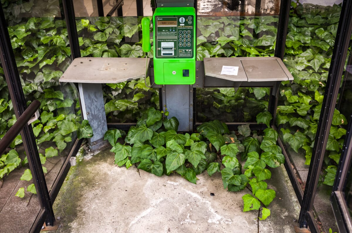 Green and overgrown urban Tokyo