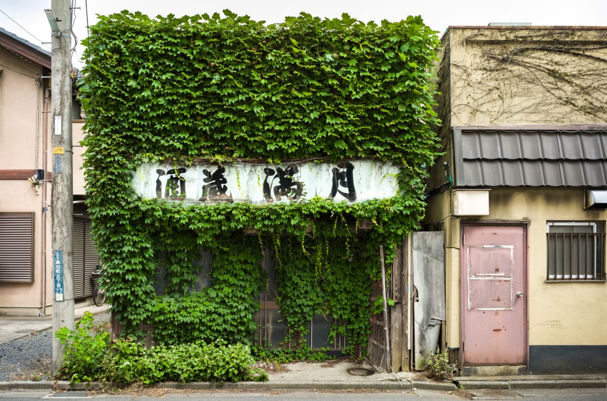 Green and overgrown urban Tokyo
