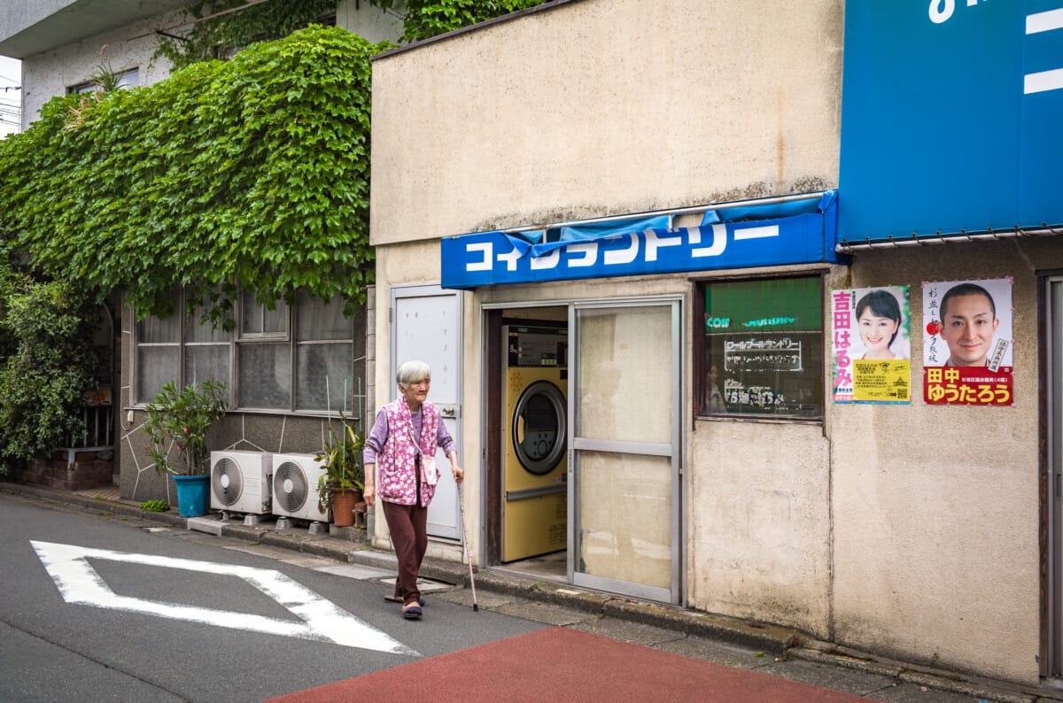 Green and overgrown urban Tokyo