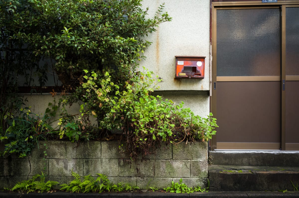 Photos from a walk round one of my favourite old Tokyo neighbourhoods