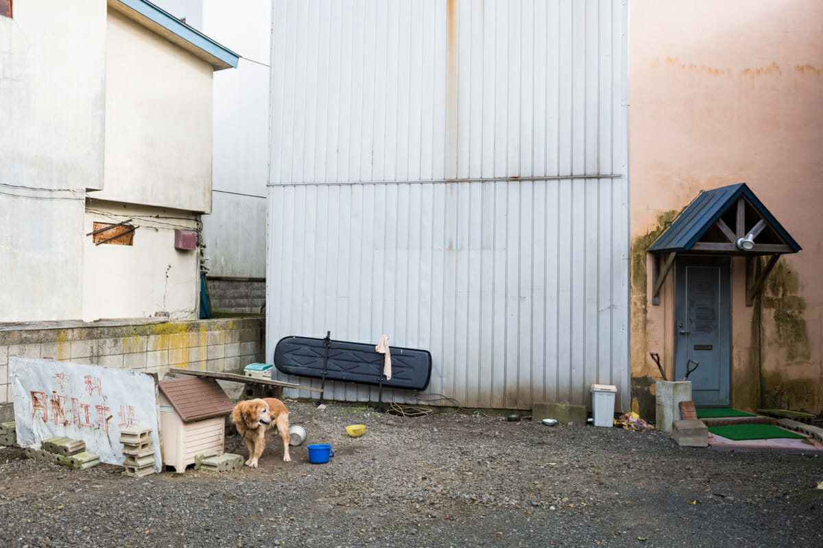 photographs from Hokkaido in northern Japan