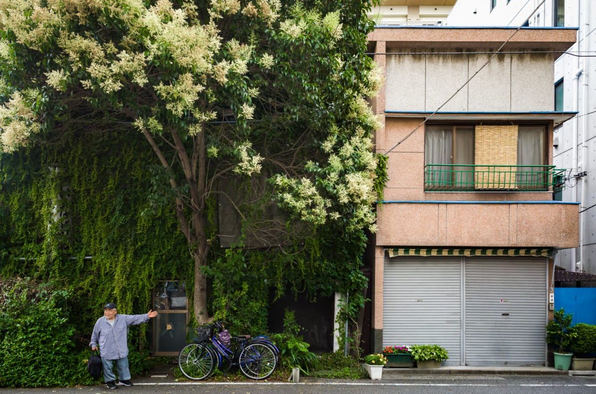 photos from Tokyo’s most overgrown hotel