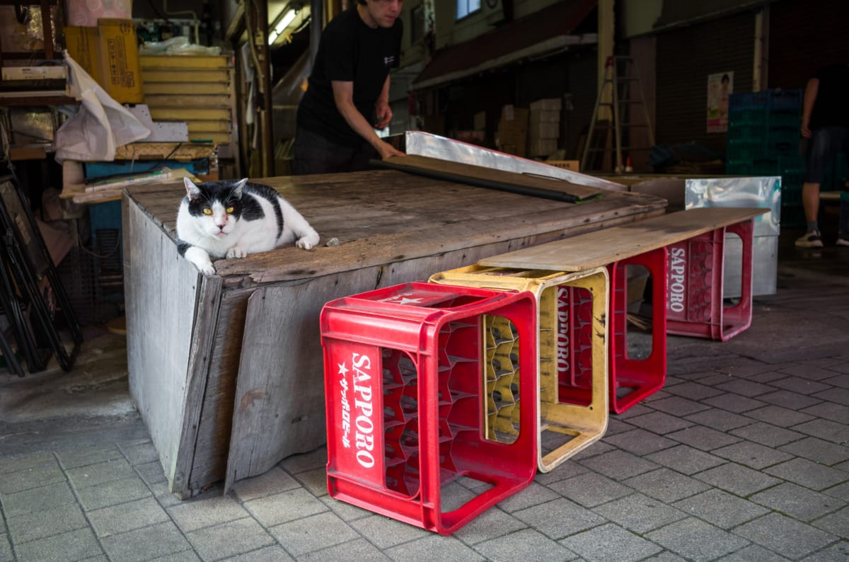 A post-war and now mostly shuttered up Japanese market