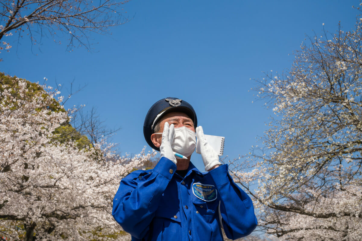 safety first Tokyo 2021 cherry blossom season