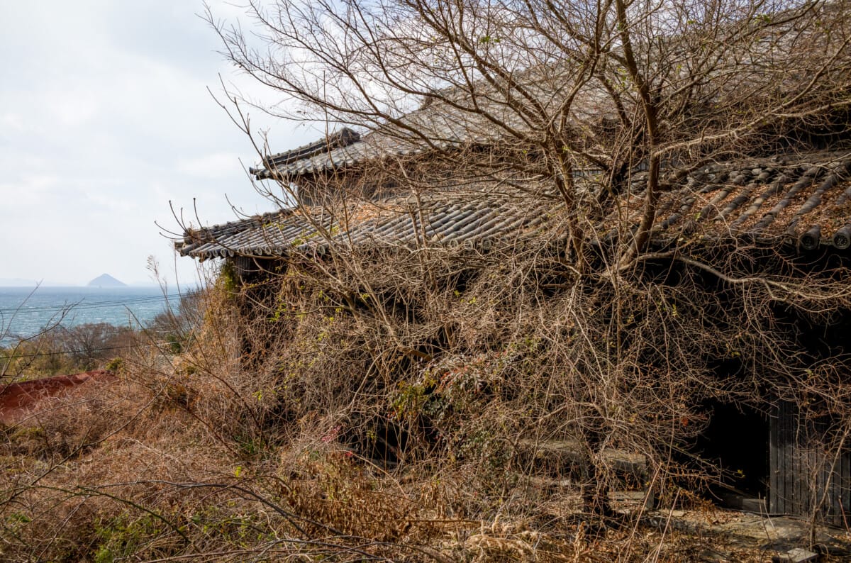 Scenes from a small, sparsely populated Japanese island